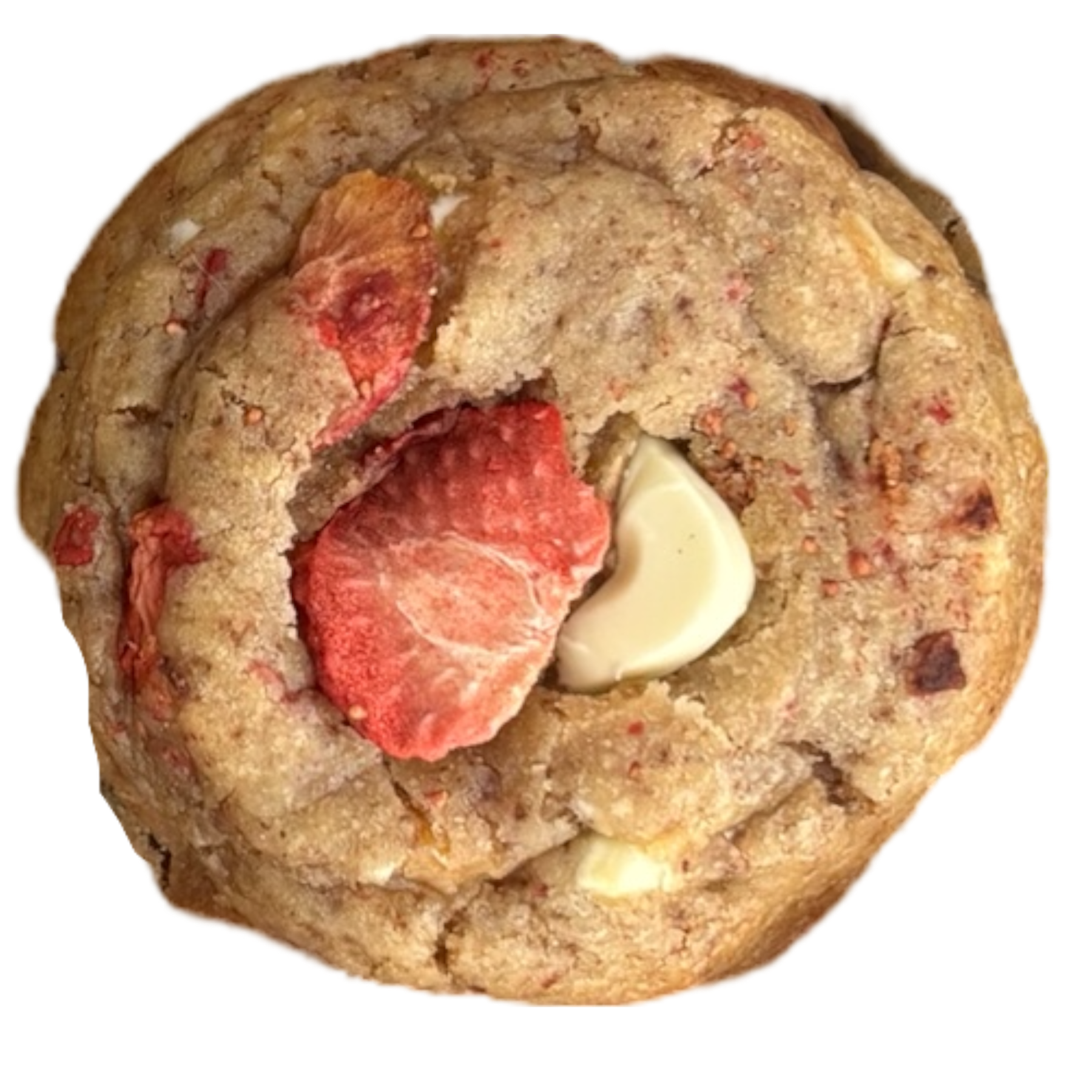 Fraisier